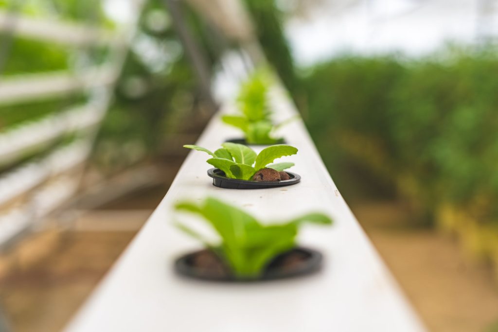 Click & Grow Indoor Herb Garden Kit